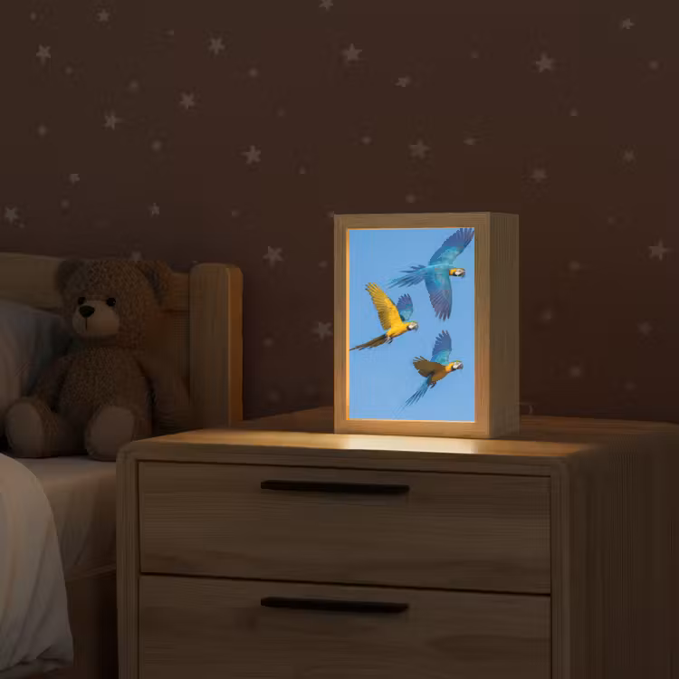 Papagaai - Vliegen - Blauw - Geel Light Box met kabel (Kinderlampje) klein -sfeer1_kind