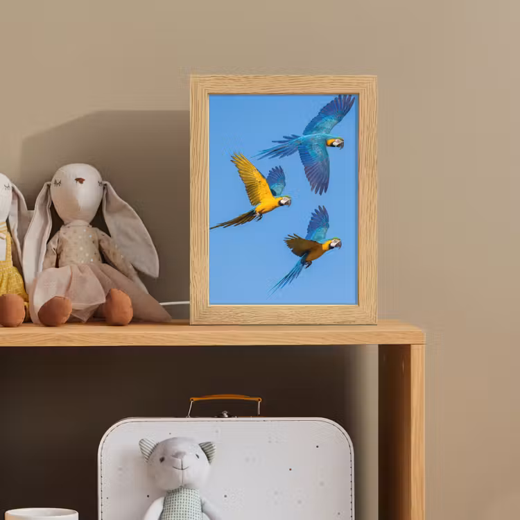 Papagaai - Vliegen - Blauw - Geel Light Box met kabel (Kinderlampje) klein -sfeer2_kind