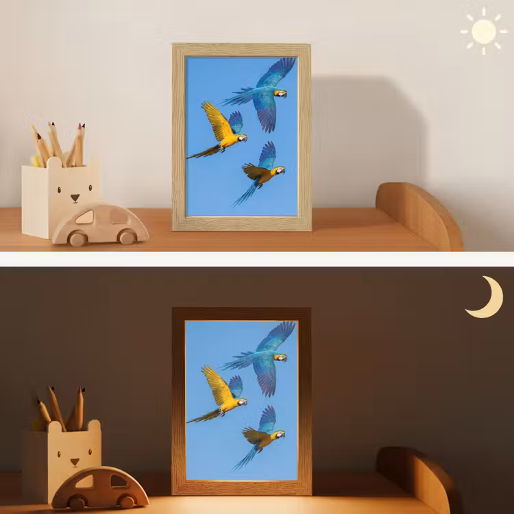 Papagaai - Vliegen - Blauw - Geel Light Box met kabel (Kinderlampje) klein -sfeer3_kind