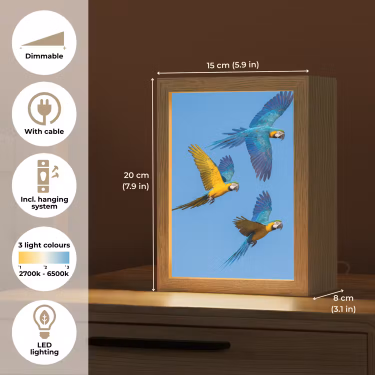 Papagaai - Vliegen - Blauw - Geel Light Box met kabel (Kinderlampje) klein -USP_EN