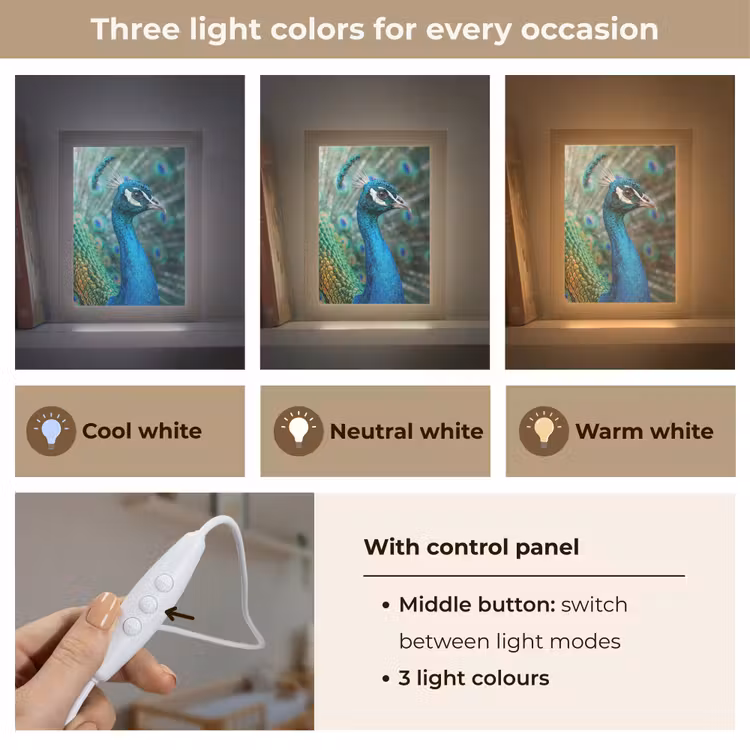 Pauw - Veren - Blauw Light Box met kabel (Kinderlampje) klein -USP_lichtkleurEN