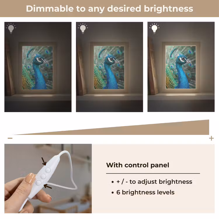 Pauw - Veren - Blauw Light Box met kabel (Kinderlampje) klein -USP_dimbaarEN