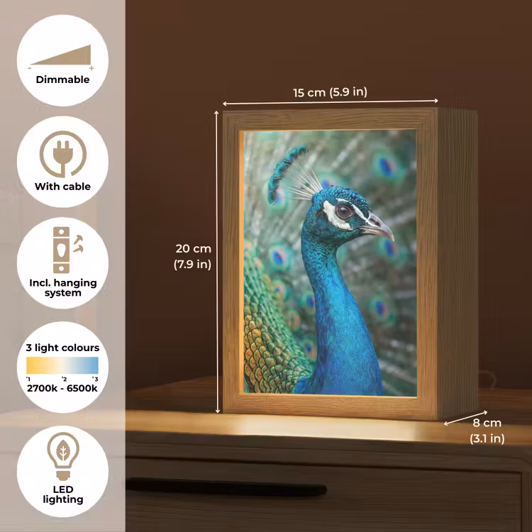 Pauw - Veren - Blauw Light Box met kabel (Kinderlampje) klein -USP_EN