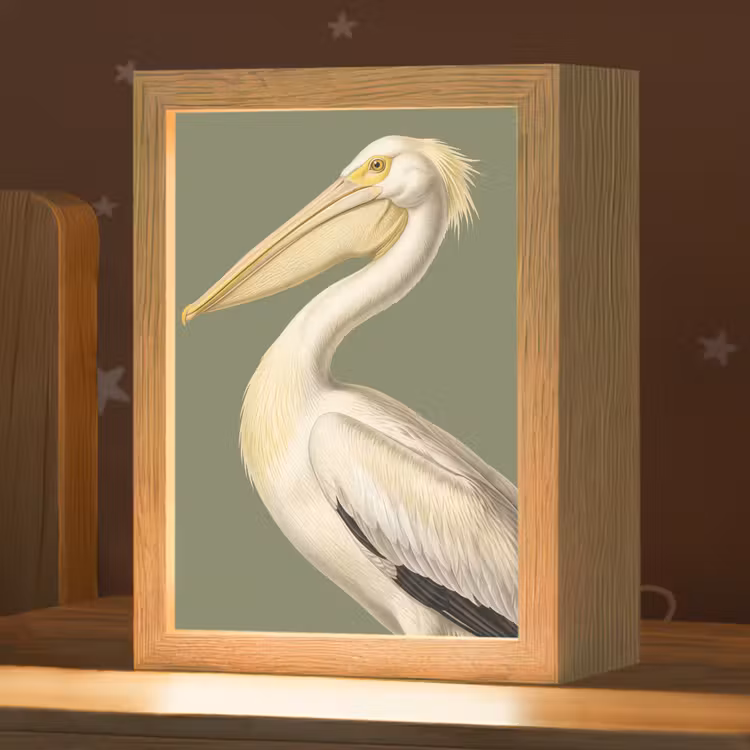 Pelikaan - Wit - Vogel - Klassiek - Natuur Light Box met kabel (Kinderlampje) klein -zzz_3d_website