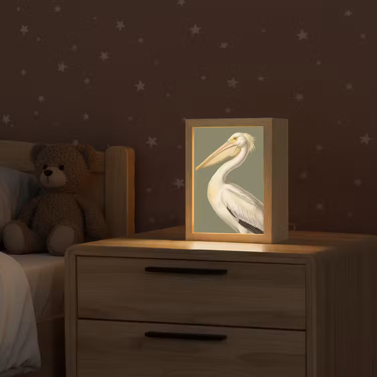 Pelikaan - Wit - Vogel - Klassiek - Natuur Light Box met kabel (Kinderlampje) klein -sfeer1_kind