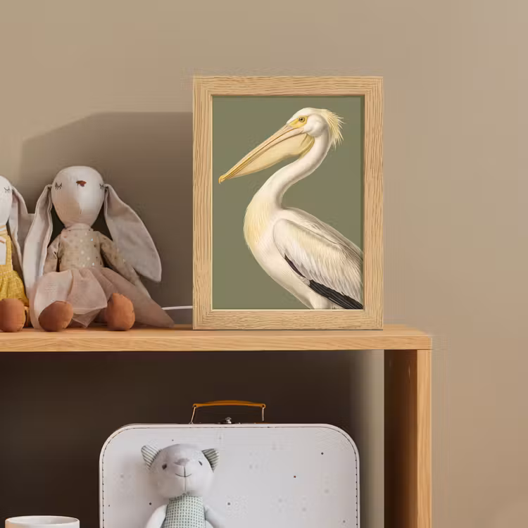 Pelikaan - Wit - Vogel - Klassiek - Natuur Light Box met kabel (Kinderlampje) klein -sfeer2_kind