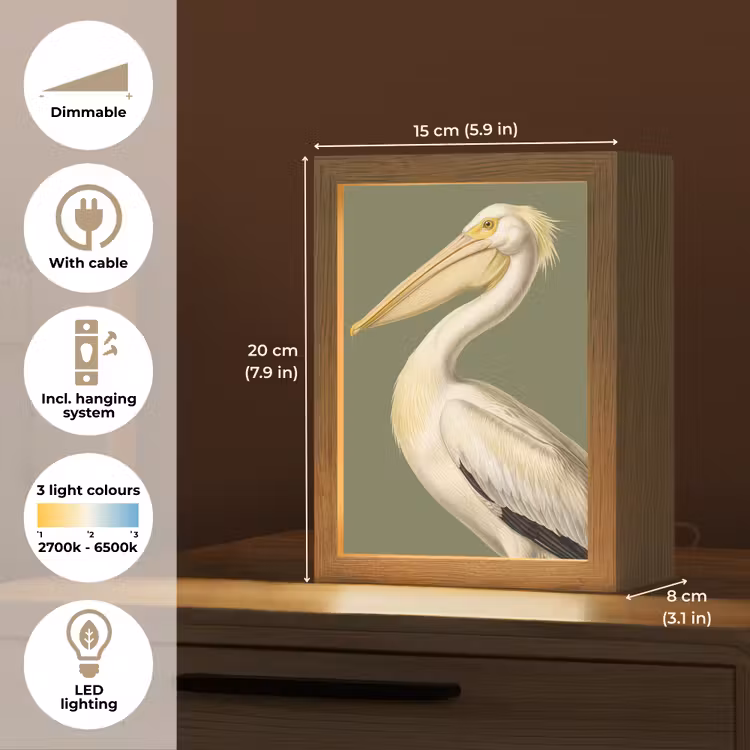 Pelikaan - Wit - Vogel - Klassiek - Natuur Light Box met kabel (Kinderlampje) klein -USP_EN