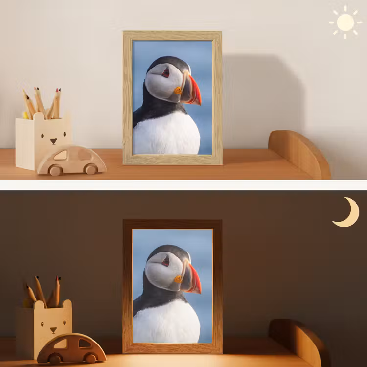 Papegaaiduiker - Portret - Natuur Light Box met kabel (Kinderlampje) klein -sfeer3_kind