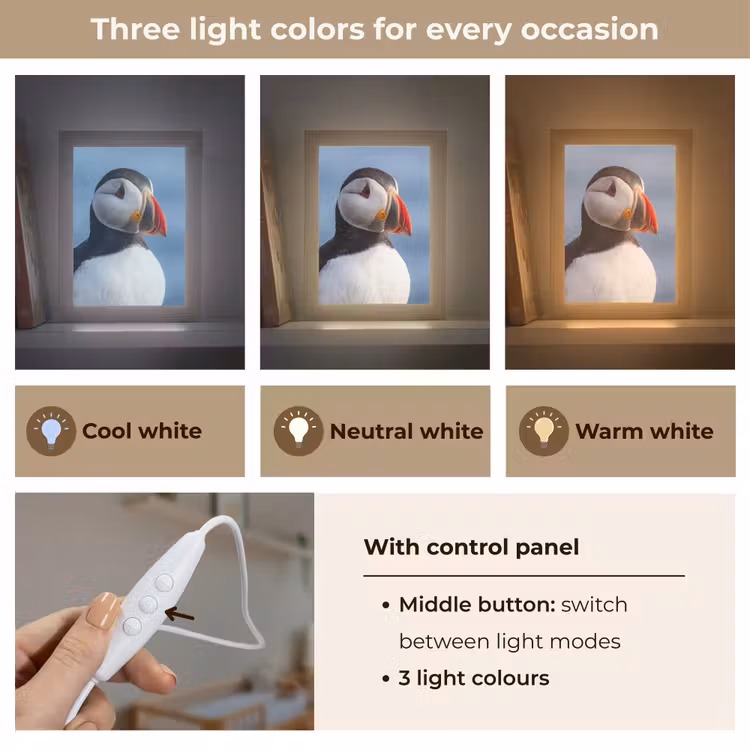 Papegaaiduiker - Portret - Natuur Light Box met kabel (Kinderlampje) klein -USP_lichtkleurEN
