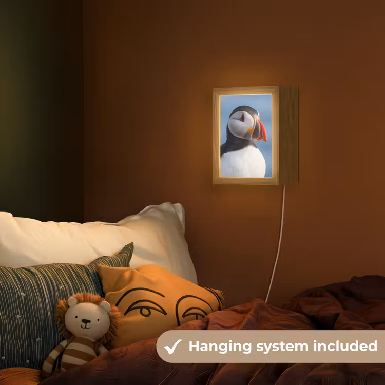 Papegaaiduiker - Portret - Natuur Light Box met kabel (Kinderlampje) klein -sfeer5_kind_EN