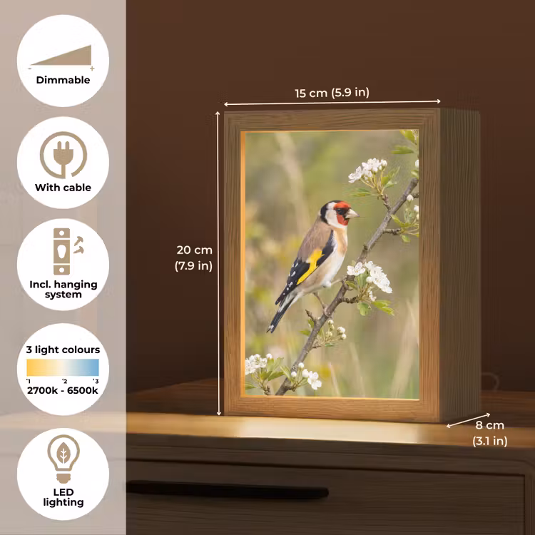 Putter - Bloesem - Lente - Natuur - Kleurrijk Light Box met kabel (Kinderlampje) klein -USP_EN