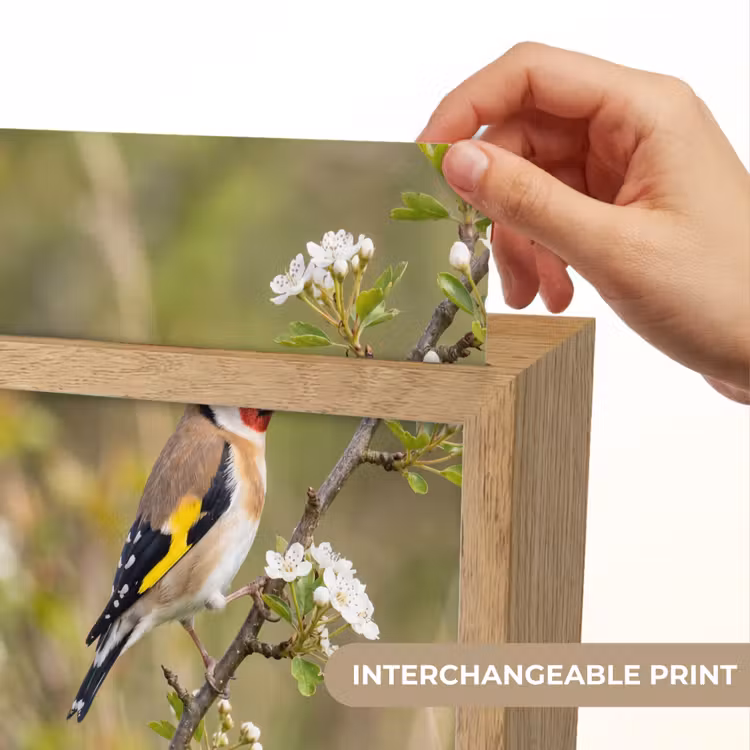 Putter - Bloesem - Lente - Natuur - Kleurrijk Light Box met kabel (Kinderlampje) klein -USP_websiteprintEN
