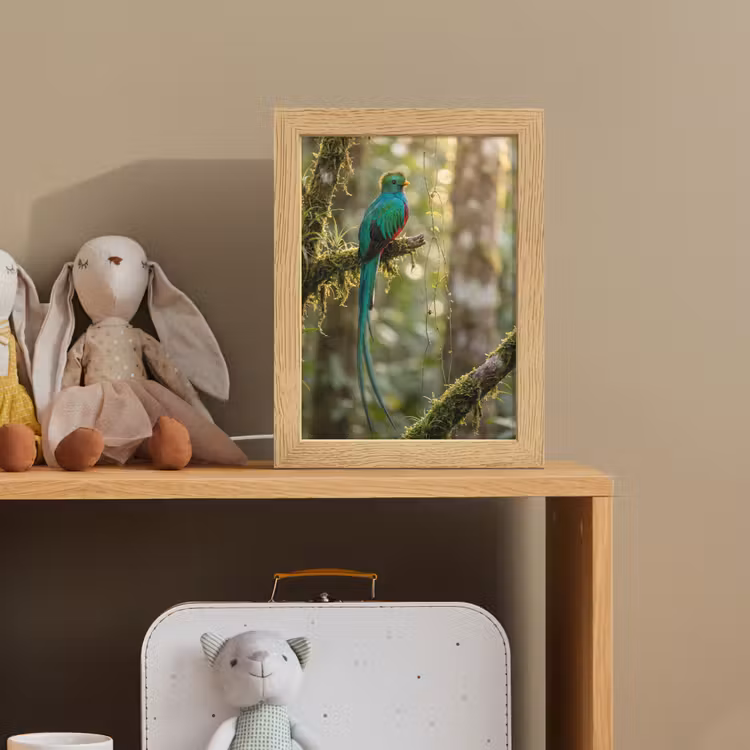 Quetzal - Jungle - Natuur - Groen Light Box met kabel (Kinderlampje) klein -sfeer2_kind