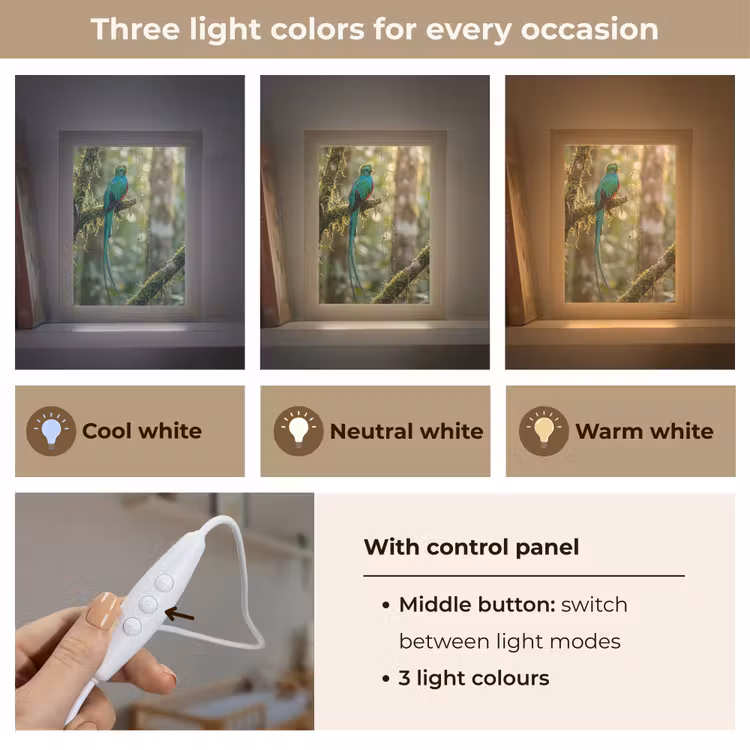 Quetzal - Jungle - Natuur - Groen Light Box met kabel (Kinderlampje) klein -USP_lichtkleurEN