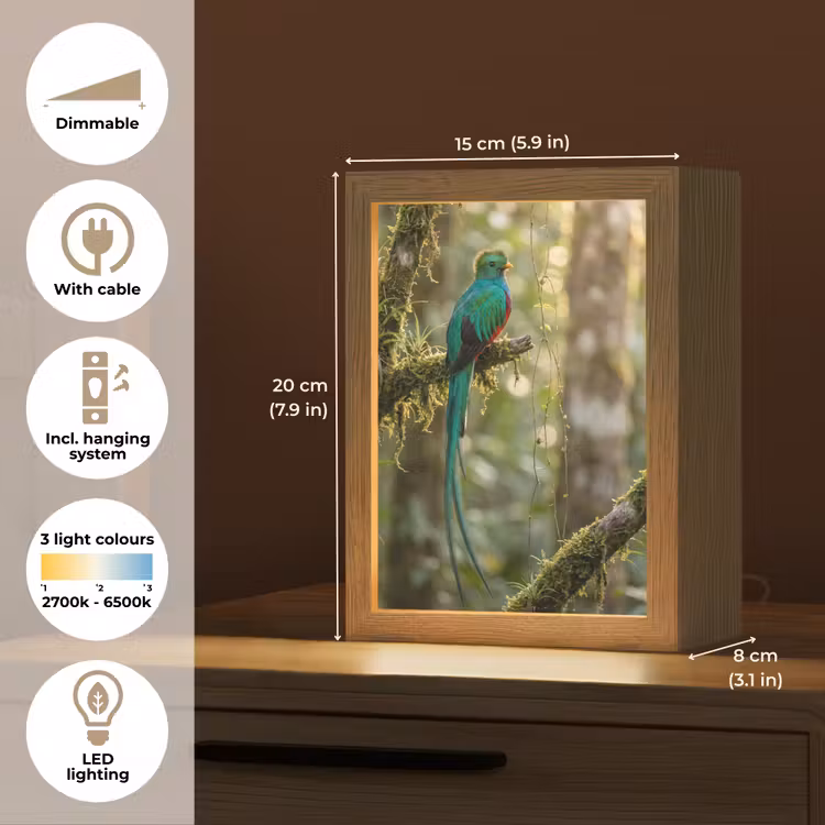 Quetzal - Jungle - Natuur - Groen Light Box met kabel (Kinderlampje) klein -USP_EN