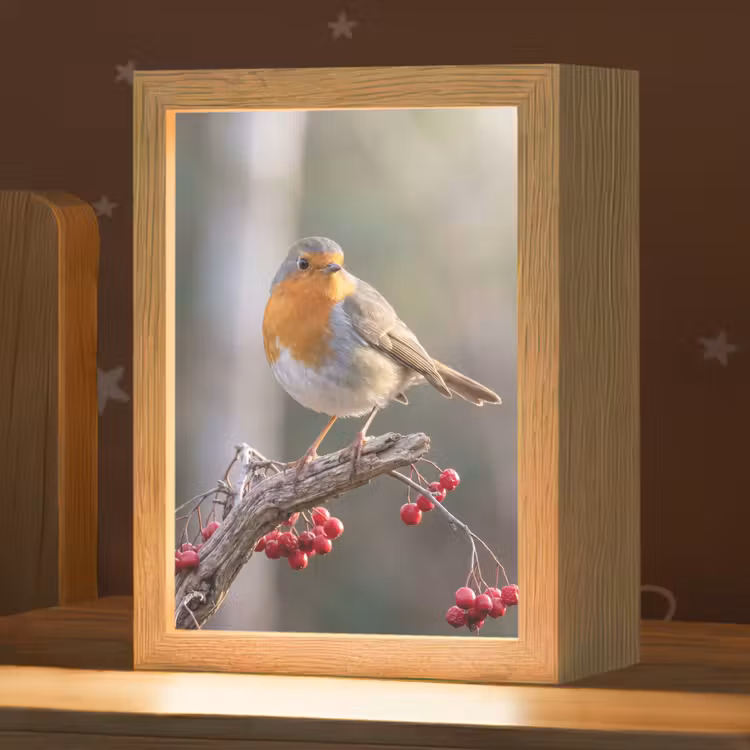 Roodborst - Tak - Bessen - Natuur Light Box met kabel (Kinderlampje) klein -zzz_3d_website