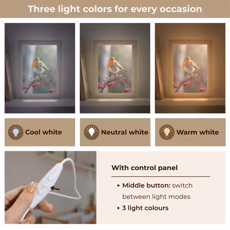 Roodborst - Tak - Bessen - Natuur Light Box met kabel (Kinderlampje) klein -USP_lichtkleurEN