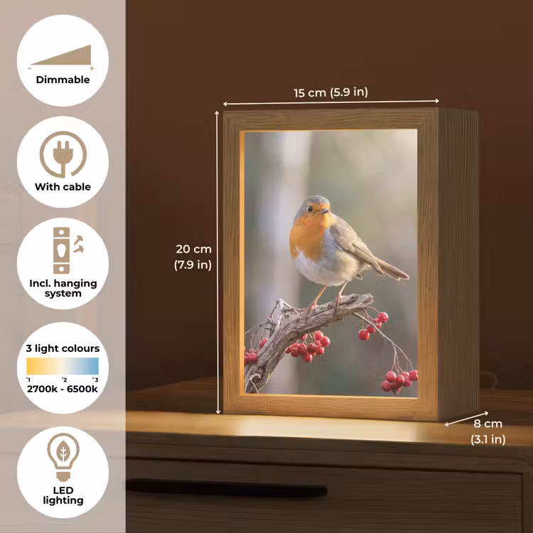 Roodborst - Tak - Bessen - Natuur Light Box met kabel (Kinderlampje) klein -USP_EN