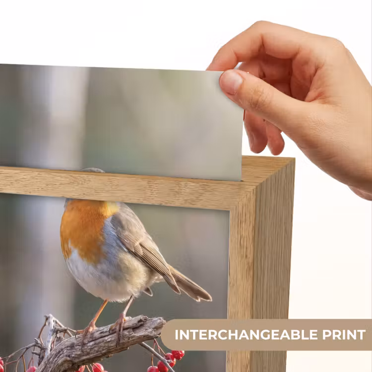 Roodborst - Tak - Bessen - Natuur Light Box met kabel (Kinderlampje) klein -USP_websiteprintEN