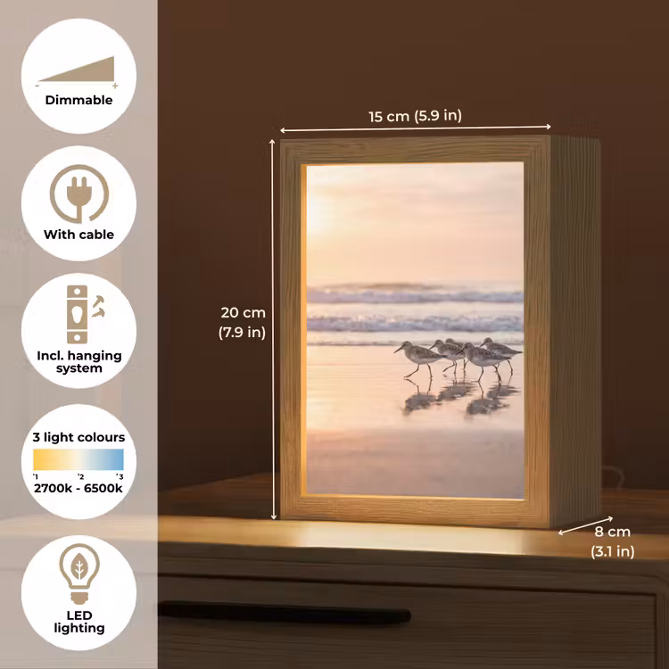 Zee - Vogels - Strand Light Box met kabel (Kinderlampje) klein -USP_EN