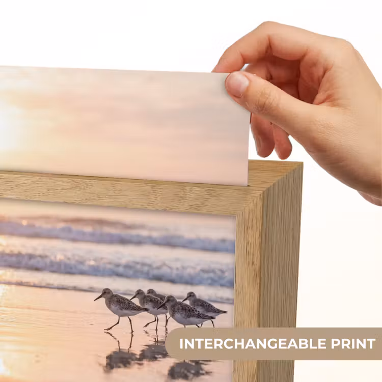 Zee - Vogels - Strand Light Box met kabel (Kinderlampje) klein -USP_websiteprintEN