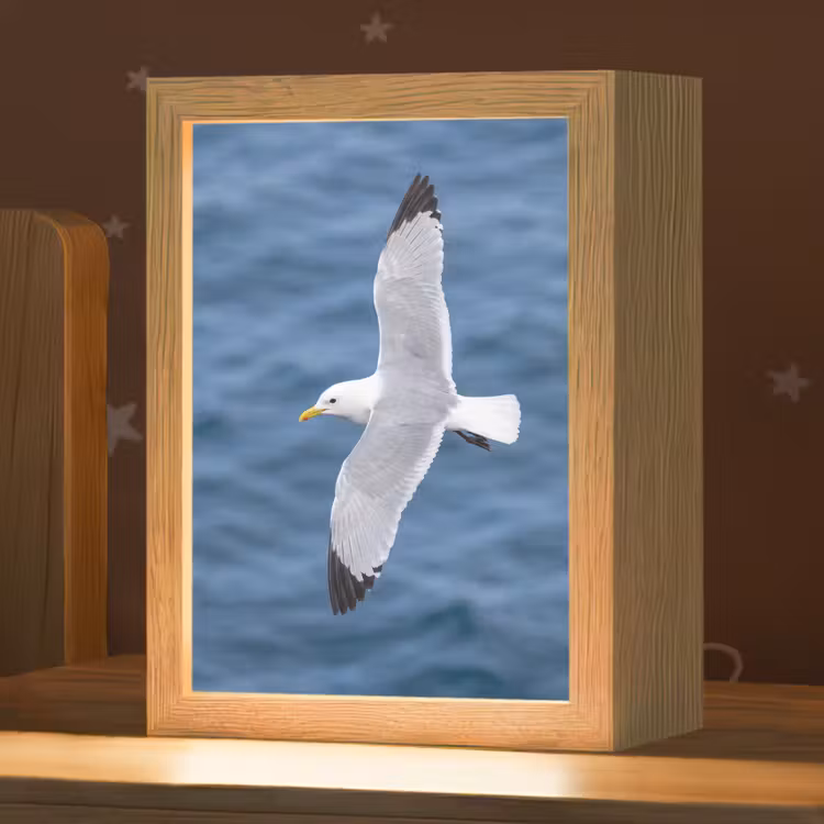 Zeemeeuw - Oceaan - Blauw Light Box met kabel (Kinderlampje) klein -zzz_3d_website