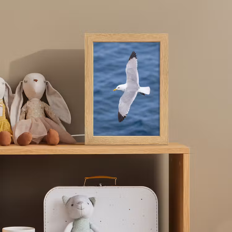 Zeemeeuw - Oceaan - Blauw Light Box met kabel (Kinderlampje) klein -sfeer2_kind