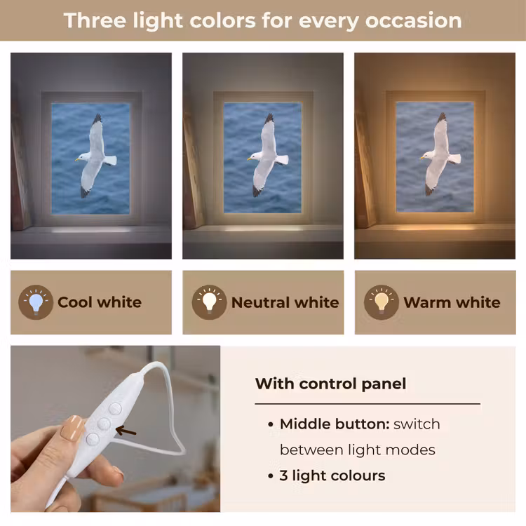 Zeemeeuw - Oceaan - Blauw Light Box met kabel (Kinderlampje) klein -USP_lichtkleurEN