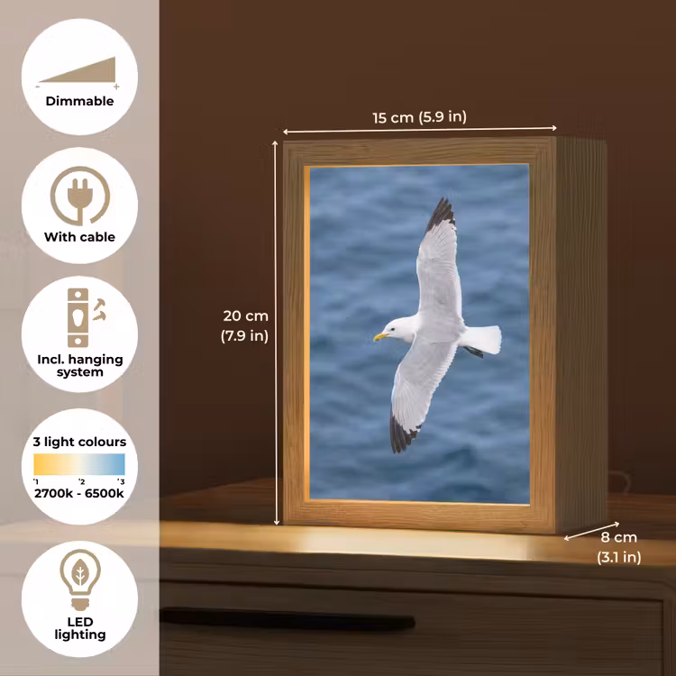 Zeemeeuw - Oceaan - Blauw Light Box met kabel (Kinderlampje) klein -USP_EN