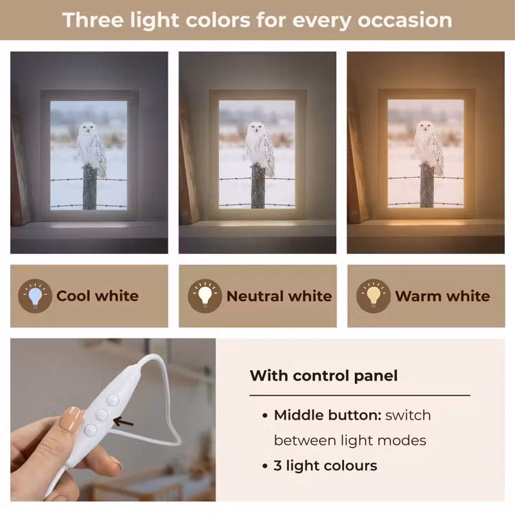 Sneeuwuil - Hek - Sneeuw - Wit Light Box met kabel (Kinderlampje) klein -USP_lichtkleurEN