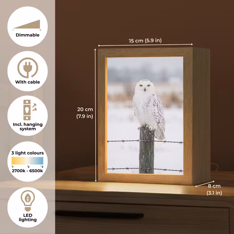 Sneeuwuil - Hek - Sneeuw - Wit Light Box met kabel (Kinderlampje) klein -USP_EN
