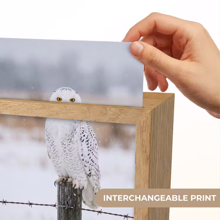 Sneeuwuil - Hek - Sneeuw - Wit Light Box met kabel (Kinderlampje) klein -USP_websiteprintEN