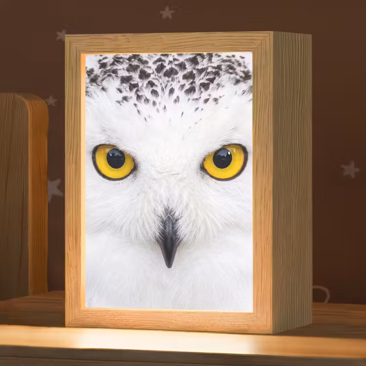 Sneeuwuil - Portret - Geel Light Box met kabel (Kinderlampje) klein -zzz_3d_website