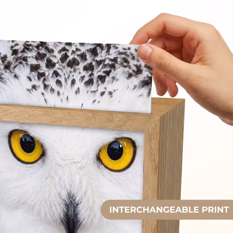 Sneeuwuil - Portret - Geel Light Box met kabel (Kinderlampje) klein -USP_websiteprintEN