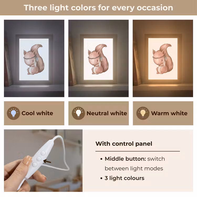Eekhoorn - Dier - Bosdieren - Bruin Light Box met kabel (Kinderlampje) klein -USP_lichtkleurEN