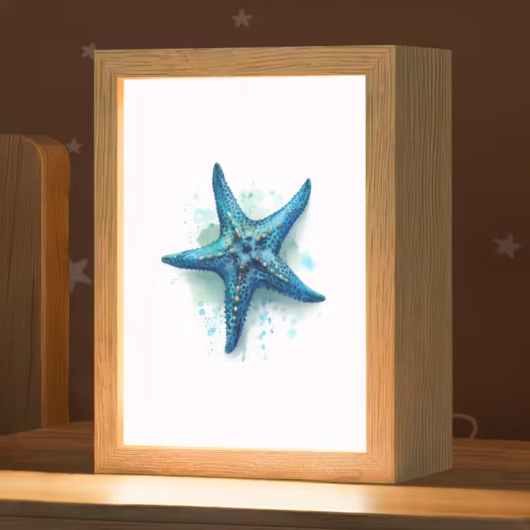 Zeester - Blauw - Spetters Light Box met kabel klein -zzz_3d_website