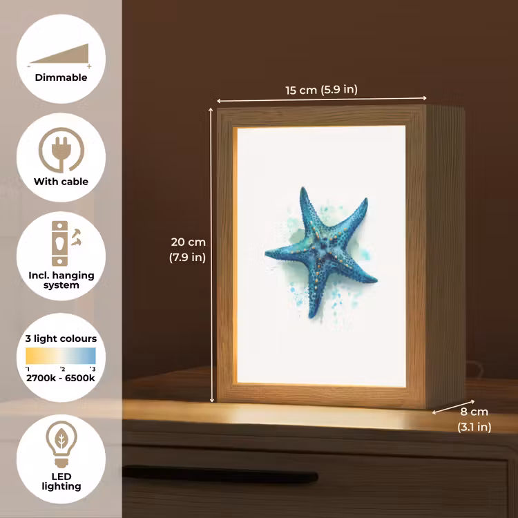 Zeester - Blauw - Spetters Light Box met kabel (Kinderlampje) klein -USP_EN