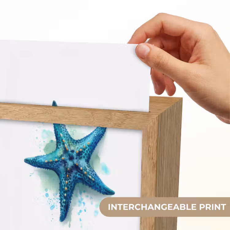 Zeester - Blauw - Spetters Light Box met kabel (Kinderlampje) klein -USP_websiteprintEN