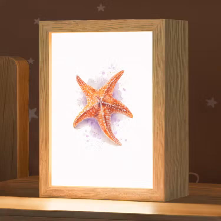 Zeester - Oranje - Paars Light Box met kabel klein -zzz_3d_website