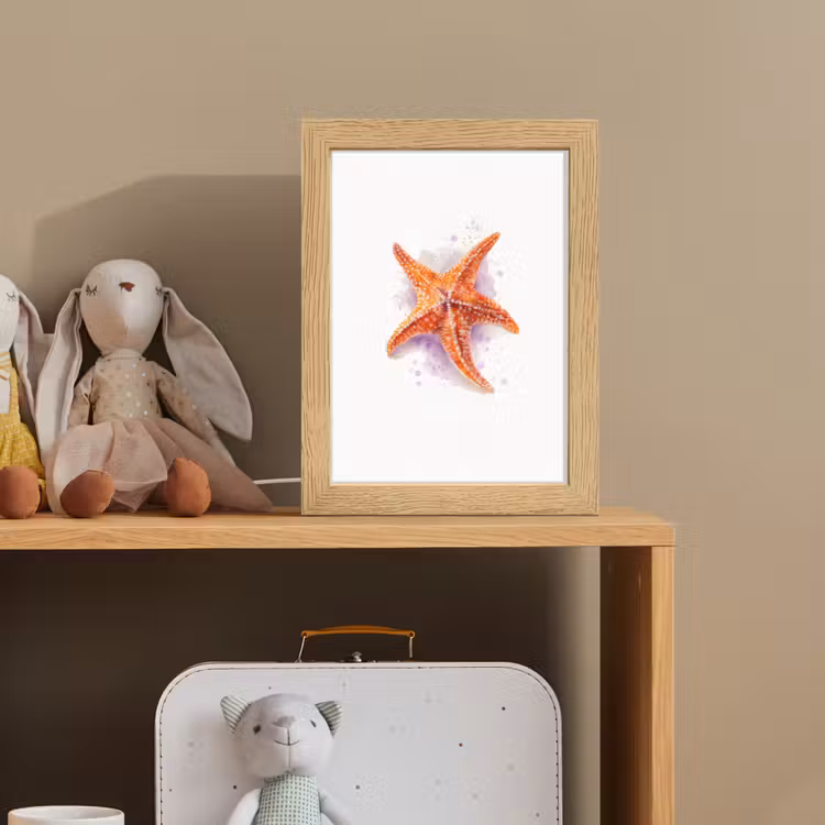 Zeester - Oranje - Paars Light Box met kabel klein -sfeer2_kind