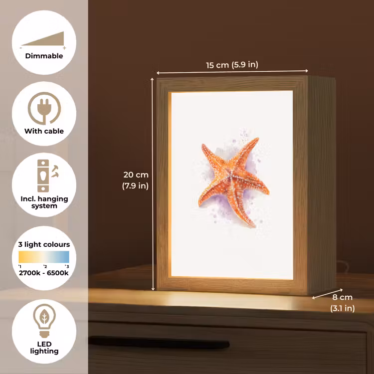 Zeester - Oranje - Paars Light Box met kabel (Kinderlampje) klein -USP_EN
