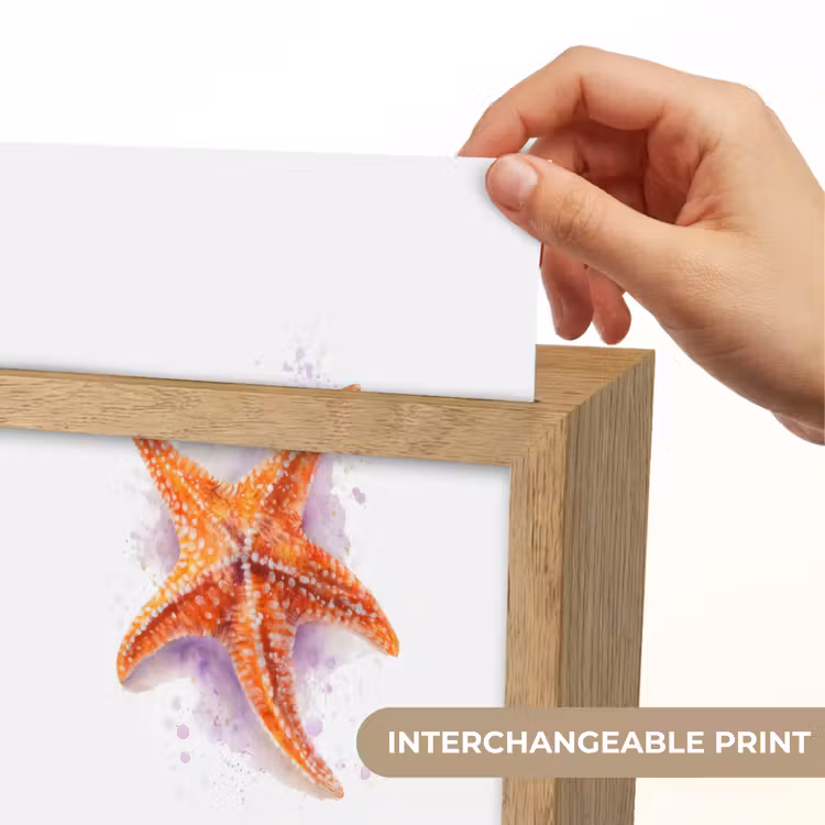 Zeester - Oranje - Paars Light Box met kabel (Kinderlampje) klein -USP_websiteprintEN