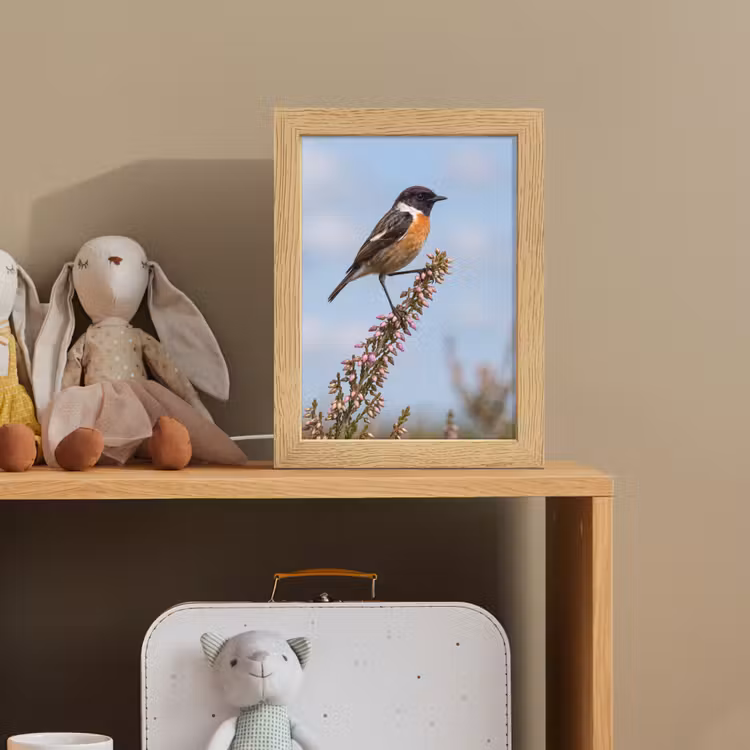Roodborsttapuit - Heide - Paars - Natuur - Sfeervol Light Box met kabel (Kinderlampje) klein -sfeer2_kind