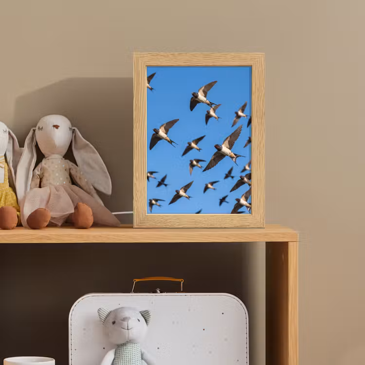 Zwaluwen - Vliegen - Blauw Light Box met kabel (Kinderlampje) klein -sfeer2_kind