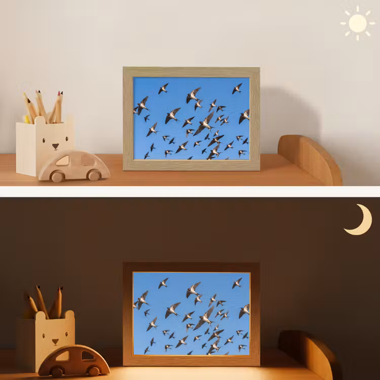 Zwaluwen - Vliegen - Blauw Light Box met kabel (Kinderlampje) klein -sfeer3_kind
