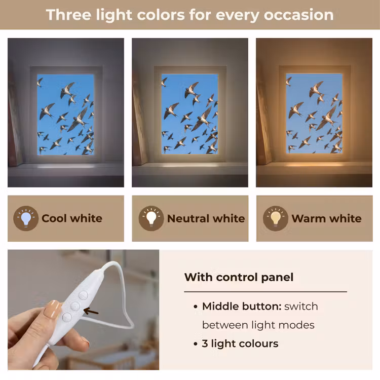 Zwaluwen - Vliegen - Blauw Light Box met kabel (Kinderlampje) klein -USP_lichtkleurEN