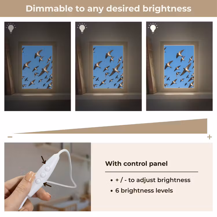 Zwaluwen - Vliegen - Blauw Light Box met kabel (Kinderlampje) klein -USP_dimbaarEN