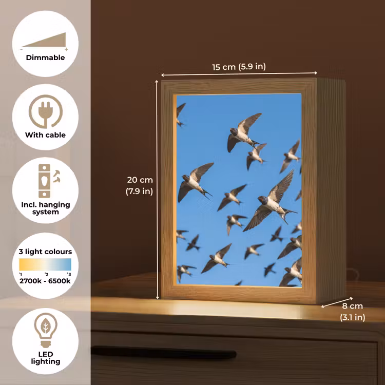 Zwaluwen - Vliegen - Blauw Light Box met kabel (Kinderlampje) klein -USP_EN