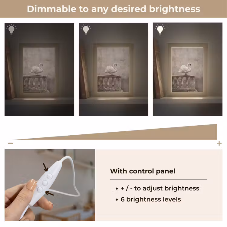 Zwaan - Elegant - Dieren - Wit Light Box met kabel (Kinderlampje) klein -USP_dimbaarEN