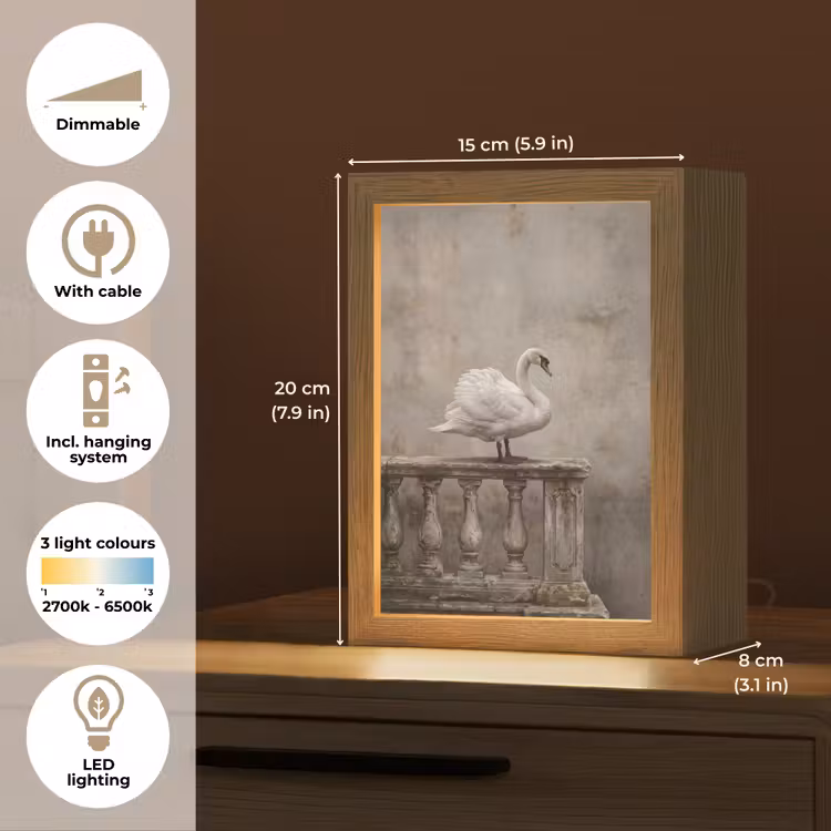 Zwaan - Elegant - Dieren - Wit Light Box met kabel (Kinderlampje) klein -USP_EN